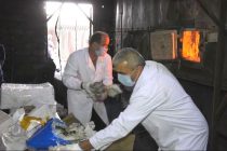 Дар вилояти Суғд қариб 700 кг маводи нашъадор сӯзонида шуд