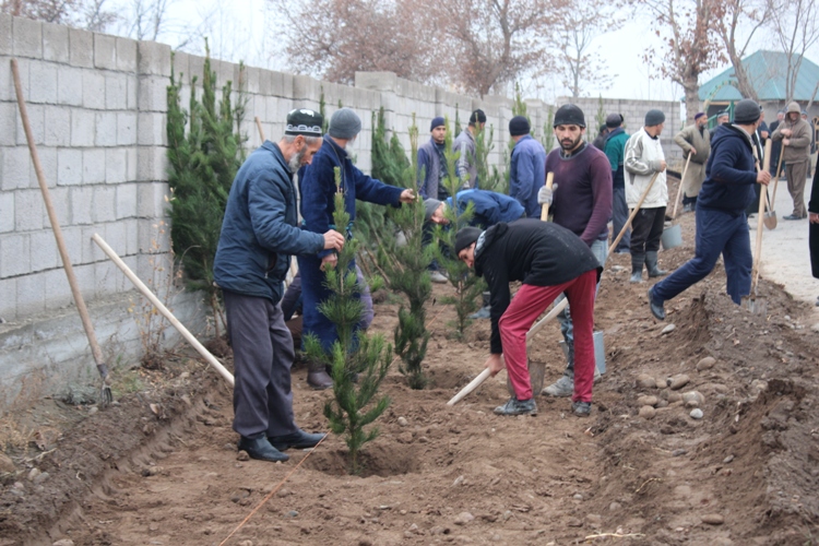 Район балхи. Джалолиддин Балхи. ПРС района Джалолиддина Балхи. Комитет охраны окружающей среды Таджикистана посадил деревья. Население Джалолиддина Балхи.
