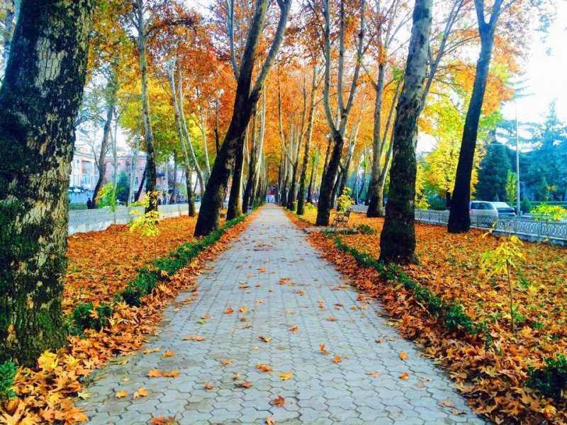 Сайты куз. Парк в Душанбе осенью. Куз фасли. Куз фасли парк Шахар. Картинки Тирамох.