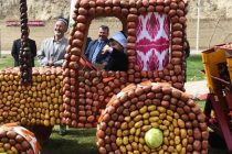 НОНИ ДУЮМ. Дар Душанбе бори аввал Фестивали картошка баргузор мегардад