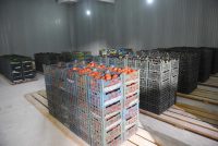 Дар сардхонаҳо ва анборхонаҳои Тоҷикистон 12 ҳазор тонна ғалладонагиҳо  захира гардидаанд