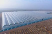 ТАЪМИНИ БОЗОРИ ДОХИЛӢ БО МАҲСУЛОТИ ҶАНГАЛ. Дар Суғд дар 540 метри мураббаъ гармхона бунёд гардид