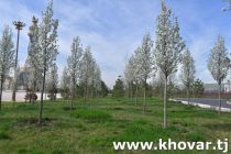 Имрӯз дар Тоҷикистон ҳавои тағйирёбанда пешгӯӣ мешавад