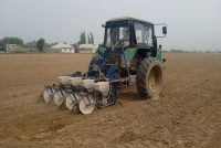 Кишоварзон соли 2026 дар 40 ҳазор гектар пунбадонаи зери плёнка кишт менамоянд