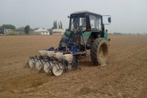 Дар Тоҷикистон кишти пахта  аз даҳаи охири моҳи март оғоз мегардад