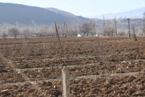 120 гектар замини канори деҳаи Ғӯсари шаҳри Панҷакент бо оби полезӣ таъмин мегардад