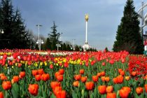 Дар Душанбе Фестивали «Сайри гули лола» баргузор шуд