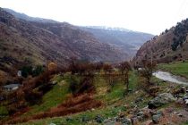 НУҚТАИ НАЗАР. Ва ё нонреза ҳам нон аст