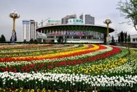 ДУШАНБЕ — ШАҲРИ «САБЗ». Дар пойтахт давоми 9 соли охир зиёда аз 130 миллион дона гули мавсимию бисёрсола шинонида шудааст