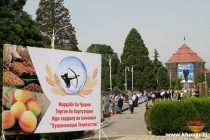 Ҷашни Тиргон бо баргузории иди зардолу ва намоиши «Хушкмеваҳои Тоҷикистон»  таҷлил  мегардад