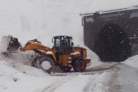 ТАРМАФАРОӢ. Дар Тоҷикистон фаромадани тарма аз нимаи моҳи декабр то  моҳи апрел дар назар аст