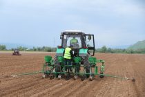 Дар Тоҷикистон кишти гандуми тирамоҳӣ идома дорад