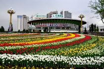 «САЙРИ ГУЛИ ЛОЛА». Дар Душанбе таҳти чунин унвон Фестивали гулҳо баргузор мегардад