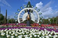 Пагоҳ дар  Душанбе   Фестивали гулҳо  таҳти унвони  «Сайри гули лола» ҷамъбаст мегардад