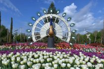 Пагоҳ дар  Душанбе   Фестивали гулҳо  таҳти унвони  «Сайри гули лола» ҷамъбаст мегардад