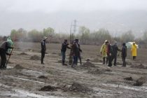 ДАРАХТ БИНШОН! Дар ноҳияи Шуғнон боғи намунавӣ бунёд гардид
