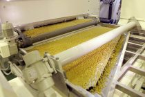 Дар Тоҷикистон беш аз 3 ҳазор тонна маҳсулоти макаронӣ истеҳсол гардидааст