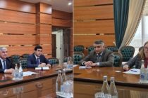 Масъалаҳои ҷалби сармояи Британияи Кабир ба Тоҷикистон баррасӣ шуданд