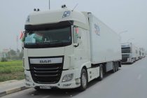 Аз вилояти Хатлон беш аз 200 тонна маҳсулоти кишоварзӣ содирот гардид