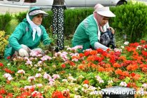 Дар Душанбе ба пешвози меҳмонон-иштирокдорони Конфронси байналмилалии сатҳи баланд оид ба ҳифзи пиряхҳо омодагӣ мегиранд