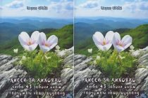 Таҳти унвони «Қисса ва ҳикояҳо» китоби Абдурофеъ Рабизода нашр гардид