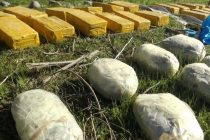 Қочоқи калони маводи мухаддир дар сарҳад бо Афғонистон пешгирӣ карда шуд