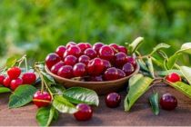 МАСЛИҲАТИ МУТАХАССИС. Хӯрдани олуча хобро ба танзим дароварда, организмро барқарор мекунад