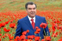 Муовини Раиси ноҳияи Данғара Зуҳро Ҳакимзода: «Мардум ба Пешвои  миллат  боварӣ ва эътимод дорад»