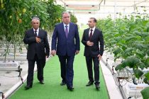 Президенти Ҷумҳурии Тоҷикистон Эмомалӣ Раҳмон дар деҳоти Халифа Ҳасани шаҳри Панҷакент бо фаъолияти гармхонаи Моғиён-Агро шинос шуданд