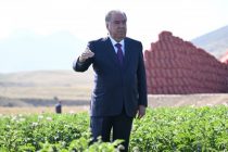 Сарвари давлат Эмомалӣ Раҳмон дар деҳаи Басманда хатти оби полезиро ифтитоҳ намуданд ва бо лоиҳаи заминҳои кишти картошкаи ноҳияҳои Деваштич, Кӯҳистони Мастчоҳ ва Шаҳристон шинос шуданд