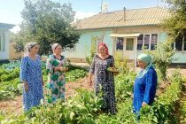 Гурӯҳи корӣ бо истифодаи самараноки заминҳои наздиҳавлигӣ дар Деҳободи ноҳияи Шаҳринав шинос шуд