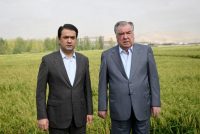 Боздиди кории Пешвои миллат Эмомалӣ Раҳмон аз шаҳри Турсунзода