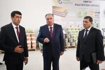 Сарвари давлат Эмомалӣ Раҳмон дар шаҳри Ваҳдат ба фаъолияти ҶДММ «Зиннат Гач» оғоз бахшиданд