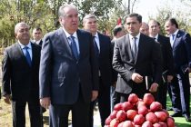 Пешвои миллат Эмомалӣ Раҳмон дар ноҳияи Файзобод аз боғи хоҷагии деҳқонии Солеҳҷон боздид намуданд