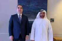 Ҷалби сармояи Амороти Муттаҳидаи Араб ба бахшҳои гуногун дар Тоҷикистон баррасӣ шуд