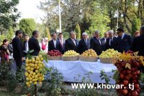 СЕБҲОИ  ТОҶИКИСТОН  БО ТАМЪИ ЛАЗИЗАШОН МАШҲУРАНД. Дар Душанбе Иди себ ва ангур таҷлил гардид