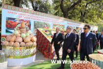 Дар Тоҷикистон  250 навъи харбуза парвариш карда мешавад