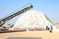 Дар ноҳияи Ҷаббор Расулов нақшаи истеҳсоли пахта беш аз 12 ҳазор тонна муайян карда шудааст