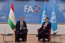 Дар Рим ҳамкории Тоҷикистон ва Созмони озуқаворӣ ва кишоварзии СММ баррасӣ шуд