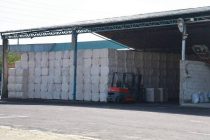 Кишоварзони ноҳияи Бобоҷон Ғафуров имсол беш аз 18 ҳазор тонна пахта ҷамъоварӣ менамоянд