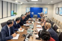 Ҳайати Тоҷикистон бо муовини директори иҷроияи Хазинаи байналмилалии асъор вохӯрӣ намуд