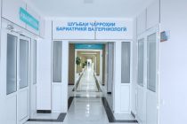Дар Маркази ҷумҳуриявии илмии ҷарроҳии дилу рагҳо шуъбаи ҷарроҳии бариатрикӣ ва герниологӣ пас аз таъмиру азнавсозӣ ба истифода дода шуд