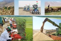 Ҳаҷми умумии истеҳсоли маҳсулоти кишоварзӣ дар Кӯлоб беш аз 26 миллион сомонӣ зиёд гардидааст