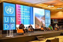 Султон Раҳимзода дар Форуми байналмилалии  «Istanbul Development Dialogues 2025» рушди иқтисоди «сабз» дар Тоҷикистонро муаррифӣ намуд