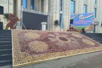 Имрӯз дар Душанбе Фестивали картошка баргузор мегардад