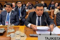 Ҳайати Тоҷикистон дар иҷлосияи 68-уми Комиссияи Созмони Милали Муттаҳид оид ба маводи мухаддир иштирок намуд