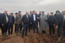 Дар ноҳияи Ёвон кишти картошка идома дорад