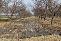 ЯХОБМОНӢ-ЗАХИРАИ НАМӢ БАРОИ СОЛИ ОЯНДА. Ин тадбири муҳим дар Тоҷикистон аз охири моҳи ноябр то моҳи феврал гузаронида мешавад