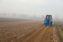 КАРТОШКАПАРВАРӢ. Кишоварзони вилояти Хатлон дар 8 ҳазор гектар картошка кишт менамоянд