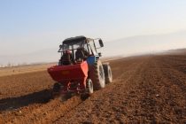 Дар ноҳияи Ёвон кишти картошкаи барвақтӣ оғоз гардид